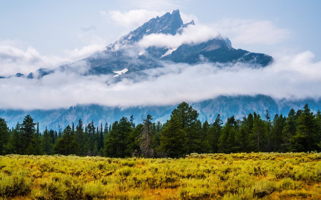 Yellowstone National Park: A Geothermal Wonderland and Wildlife Sanctuary