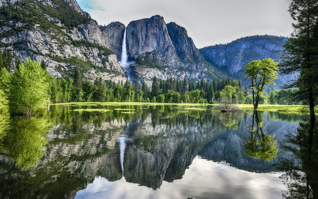 Yosemite National Park: A Natural Wonder of Majesty and Biodiversity